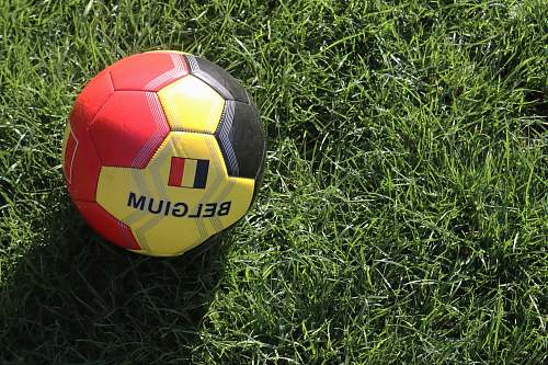 football red and yellow Belgium soccer ball on grass ball