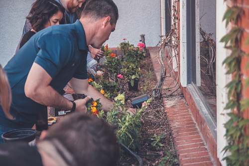 person shallow focus photo of people looking at plants during daytime garden