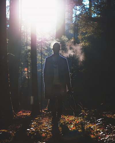 person silhouette of man standing in the forest people