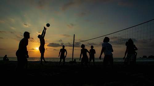 person silhouette of people playing volleyball people