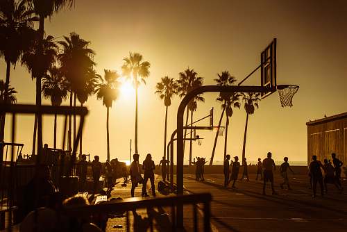 person silhouette photo of people in basketball court during golden hour people