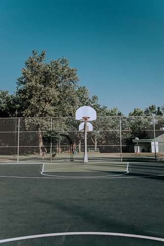 person tall trees near basketball court people
