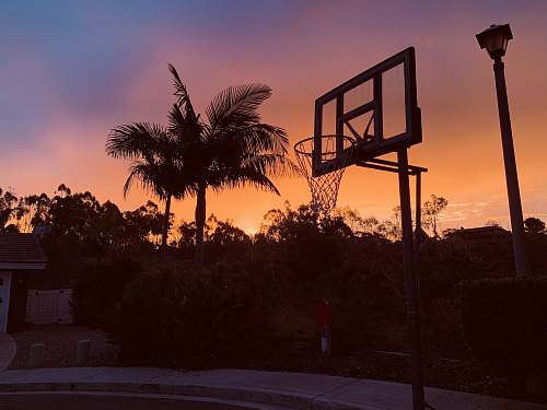person white and black basketball hoop people