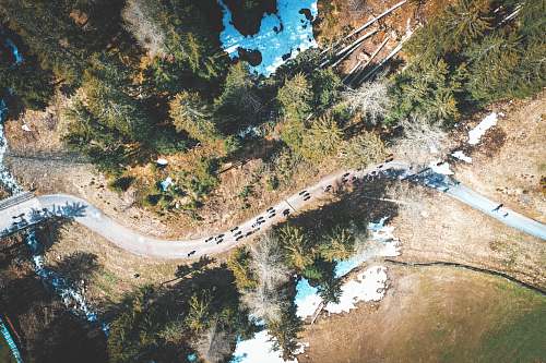 nature vehicles on paved road outdoors