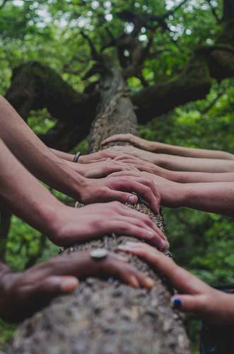 human  person