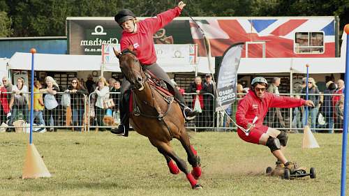 human man wearing red pullover riding on brown horse horse