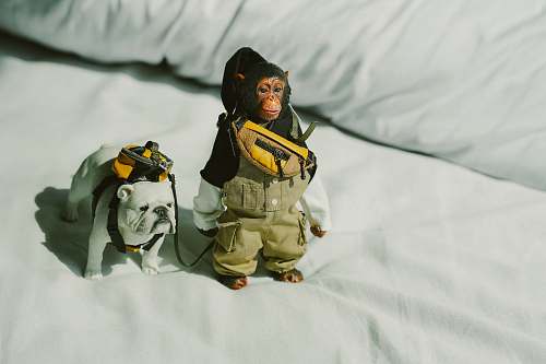 apparel monkey and dog plastic toys clothing