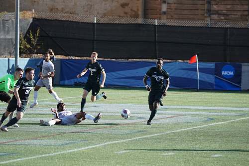 human soccer players on field people