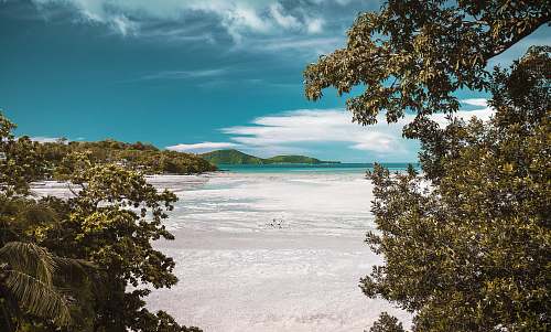 thailand aerial photography of white sand beach during daytime beach