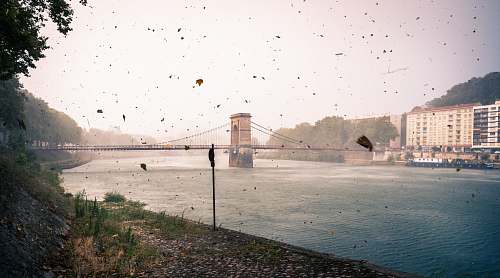 vaise bridge across body of water near white building during daytime lyon
