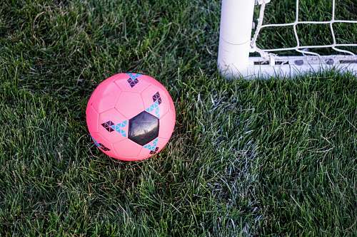 football pink rubber ball beside goal net ball