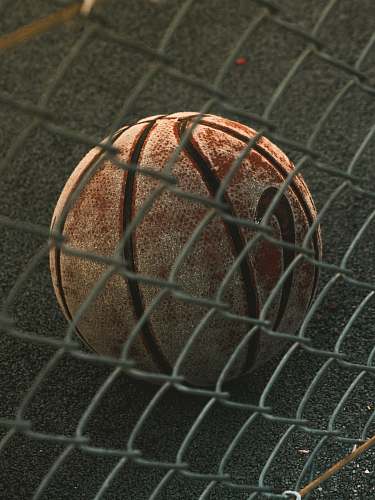 lyon brown and black basketball with autograph france