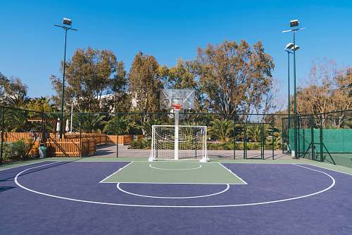 basketball basketball court team