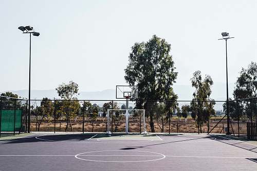 basketball basketball court near green leaf trees team sport