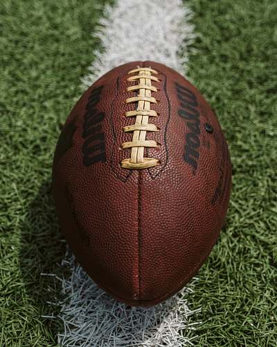 sports brown Wilson American football american football