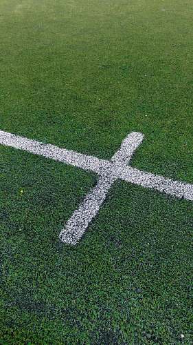field green grass field sports