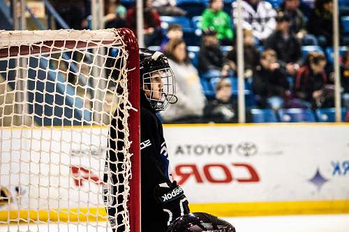 person ice hockey player near goal net team