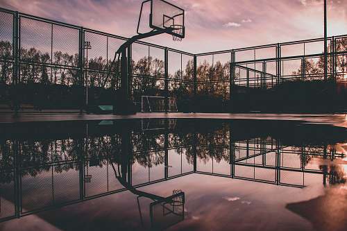 sports waters on basketball court team