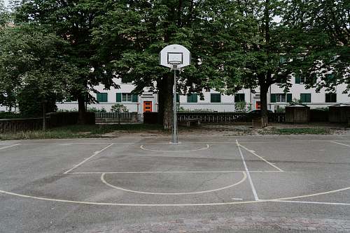 basketball white basketball hoop near trees basketball court