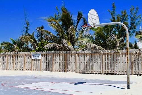 basketball white basketball system basketball court