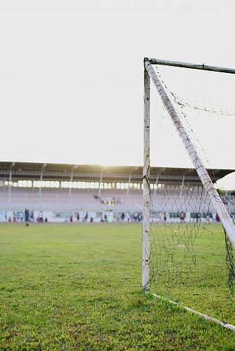 team white goalie net on green grass field football