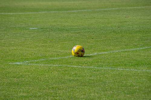 ball yellow soccer ball on field soccer ball