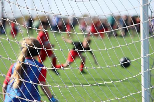 people people in green field watching soccer ball during daytime person