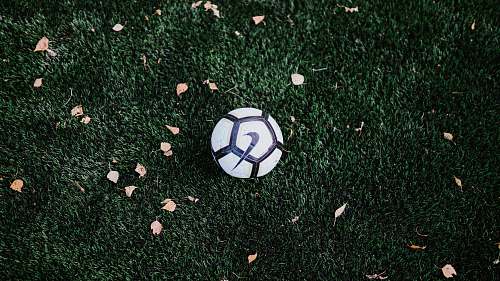 sport white and black Nike soccer ball sphere