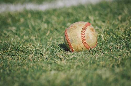 sports white and red baseball on green grass apparel