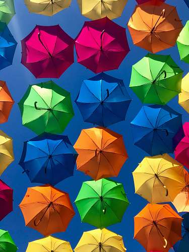 canopy assorted-colored umbrellas color