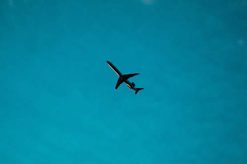 bird airliner on air during daytime flying