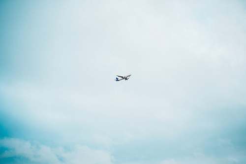 bird airplane in mid air during day flying