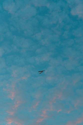 flying airplane on mid air under clear blue sky bird