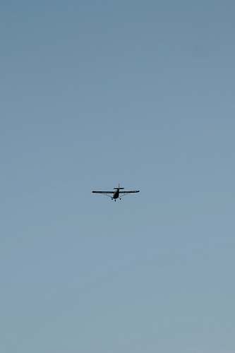 bird black airplane grey