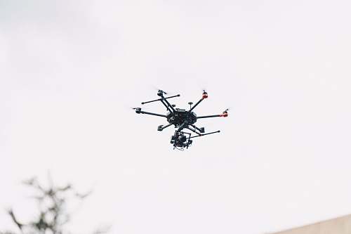 bird black quadcopter drone flying