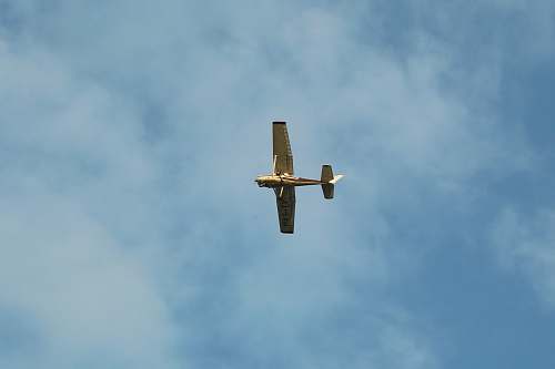bird brown airplane flying under white clouds flying