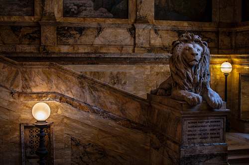 wildlife brown concrete lion statue lion