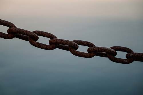 reptile brown metal chain snake