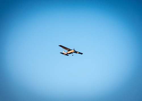 bird brown monoplane under blue sky flying
