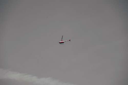 bird chopper on sky flying