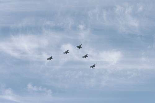bird five planes in flight flying