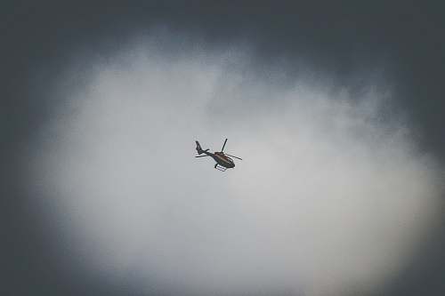bird flying black and brown helicopter grey