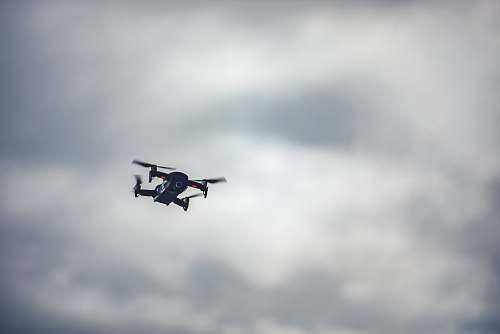 bird flying quadcopter flying