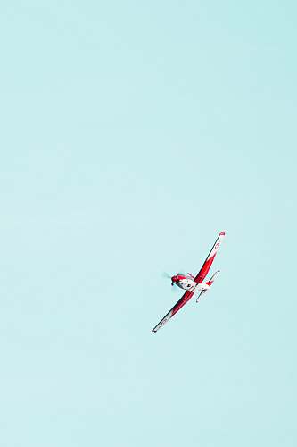 bird flying red and white biplane flying