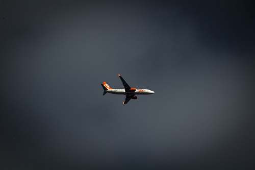 bird flying white and red plane under cloudy sky ] flying