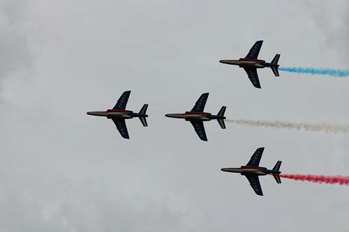 bird four airplanes flying flying