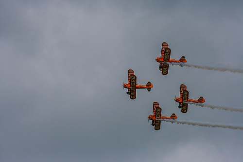 bird four orange biplanes flying in sky flying