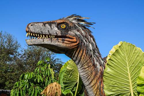 dinosaur gray and brown dinosaur surrounded by trees during daytime reptile