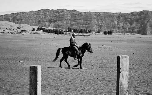 horse grayscale photography of equestrian riding on horse black-and-white