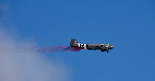 bird grey and black jet fighter flying